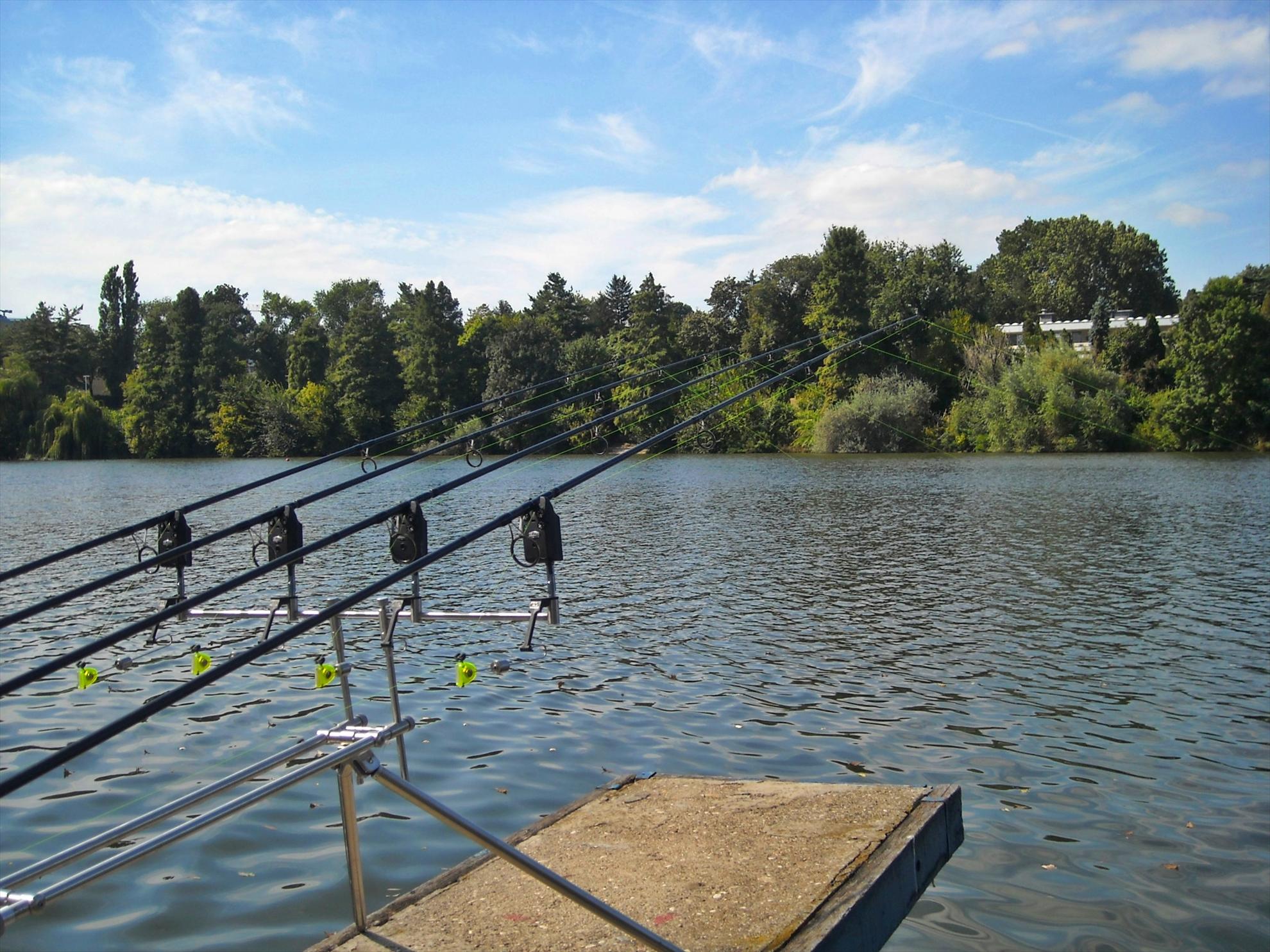 Cupa Bucovina - Floreasca 2010 - dscn8574.jpg